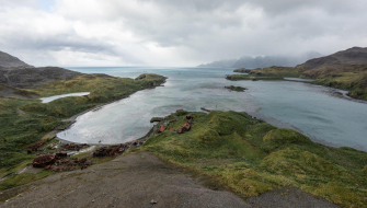 South Georgia Salisbury Plain and Prins Olav Harbour Jordi Plana Morales