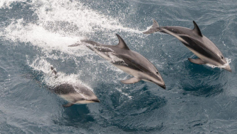 Sailing towards Tristan da Cunha by Jordi Plana Morales