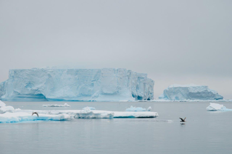 Bransfield Strait and getting into the Antarctic Sound by Richard Simko