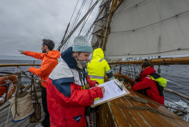 Bird survey jordi plana morales