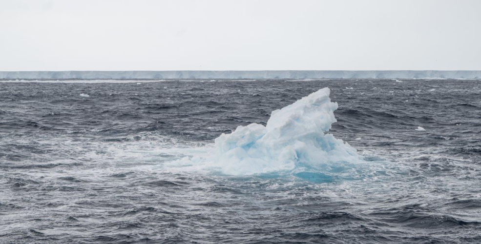 A23A Jordi Plana Morales Bark EUROPA