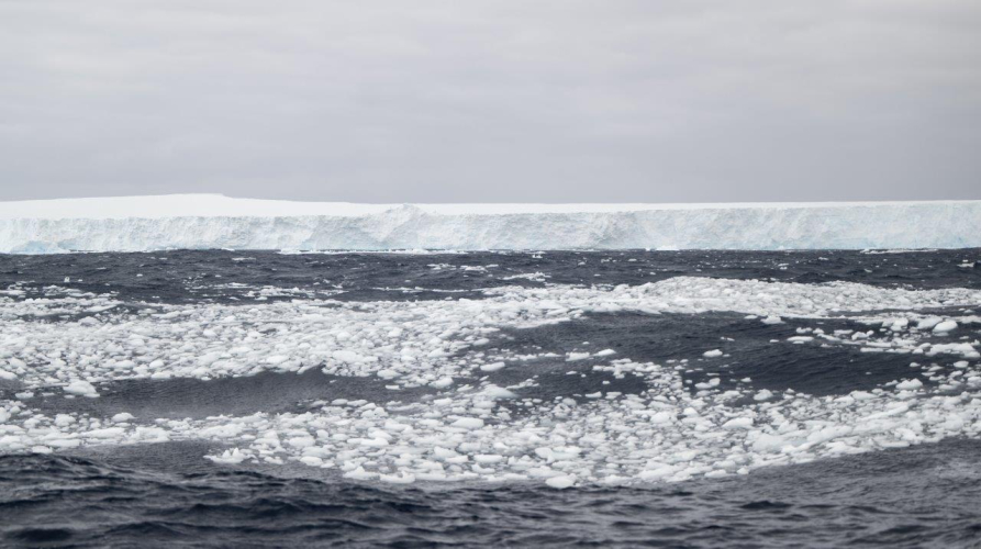 A23A Jordi Plana Morales Bark EUROPA