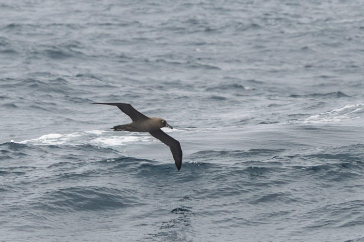 Wind and seas abate by Jordi Plana Morales