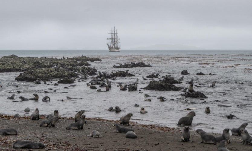 South Georgia Jordi Plana Morales Bark EUROPA