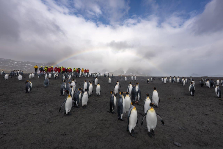 South Georgia Salisbury Plain and Prins Olav Harbour Jordi Plana Morales