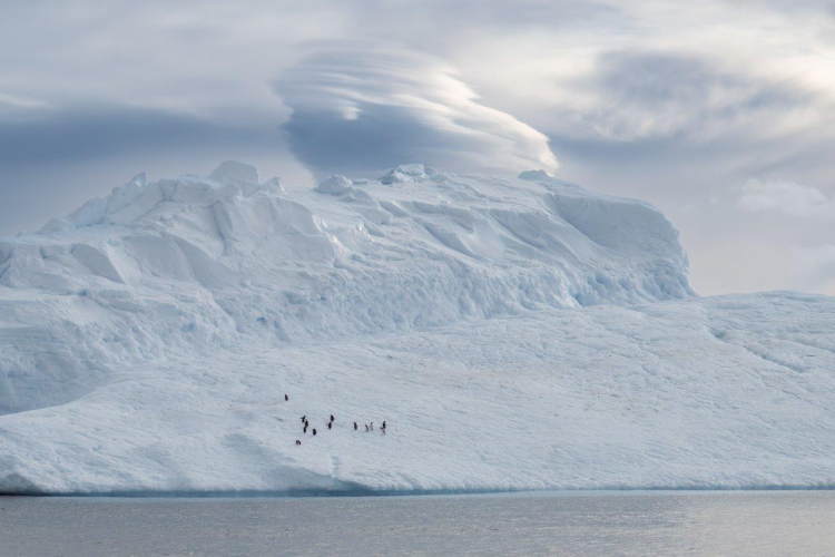 Antarctic Sound