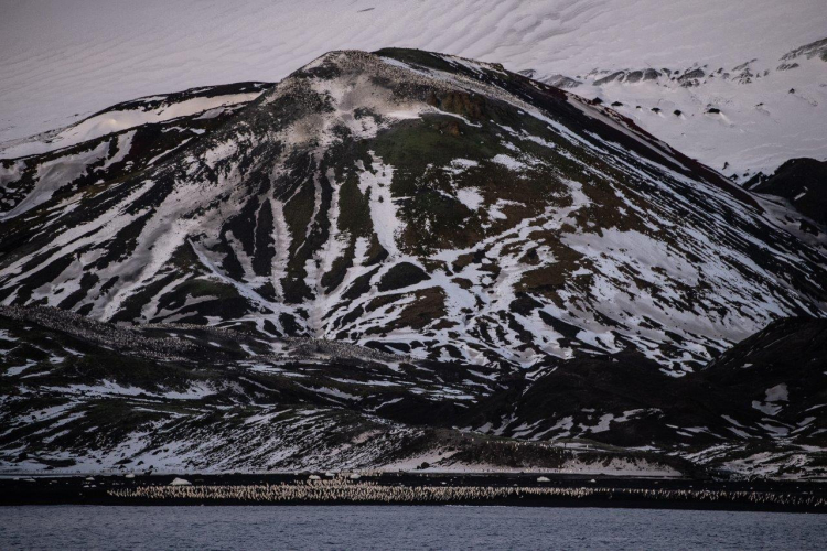 Baily Head by Philipp Reinhard