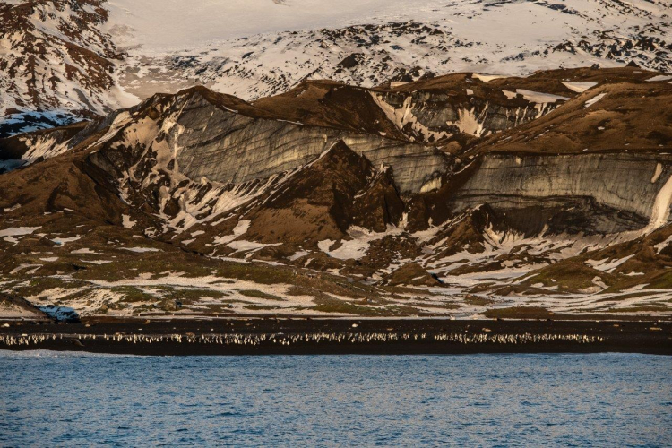 Baily Head by Philipp Reinhard