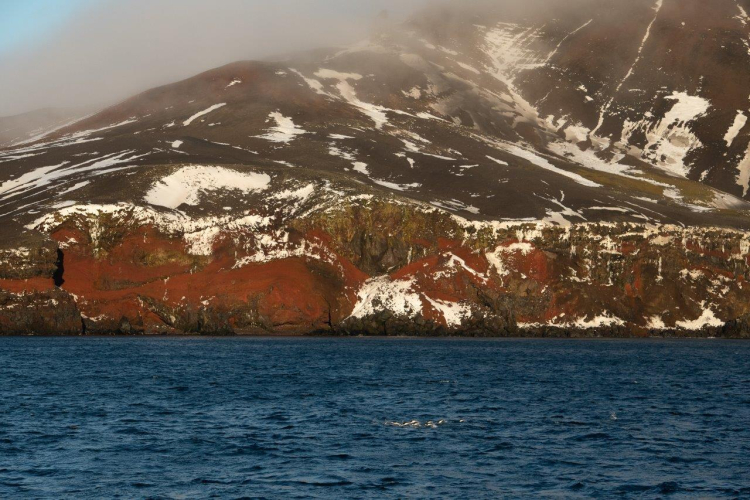 Baily Head by Philipp Reinhard