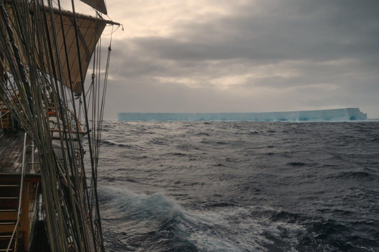 A23A Richard Simko Bark EUROPA