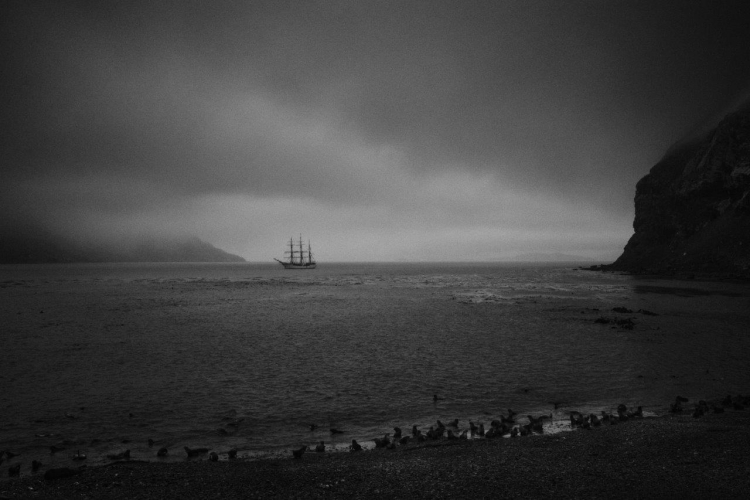 South Georgia Richard Simko Bark EUROPA