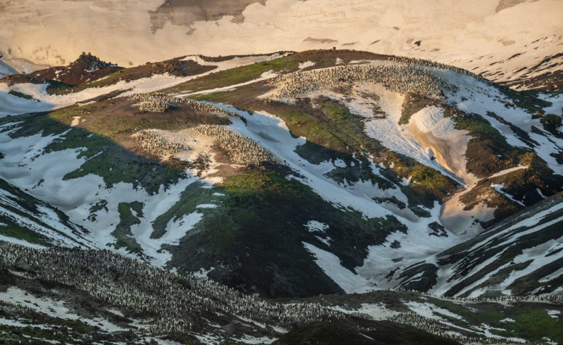Deception Island (landings at Telefon Bay and Whalers Bay) by Jordi Plana Morales