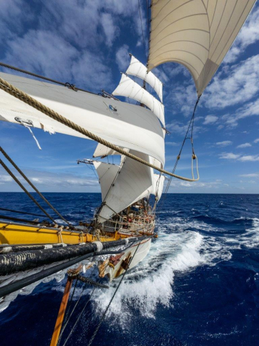 The fair Southeasterlies by Jordi Plana Morales