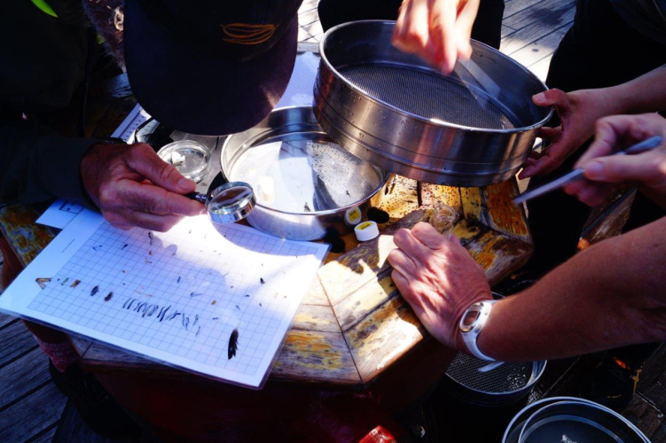 Research and Science on board by Abigail Smyth