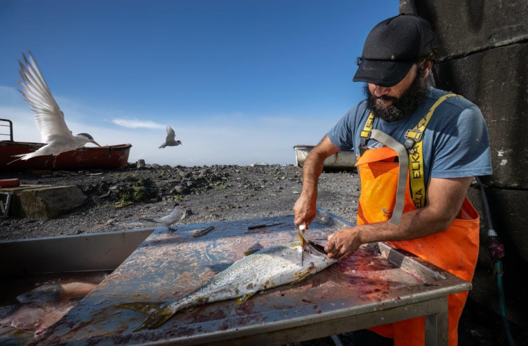 A good day in Tristan da Cunha by Jordi Plana Morales