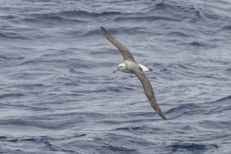 Variable weather and passing squalls by Jordi Plana Morales
