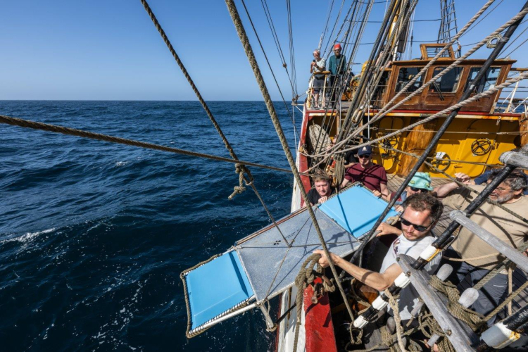 Southeasterlies by Jordi Plana Morales