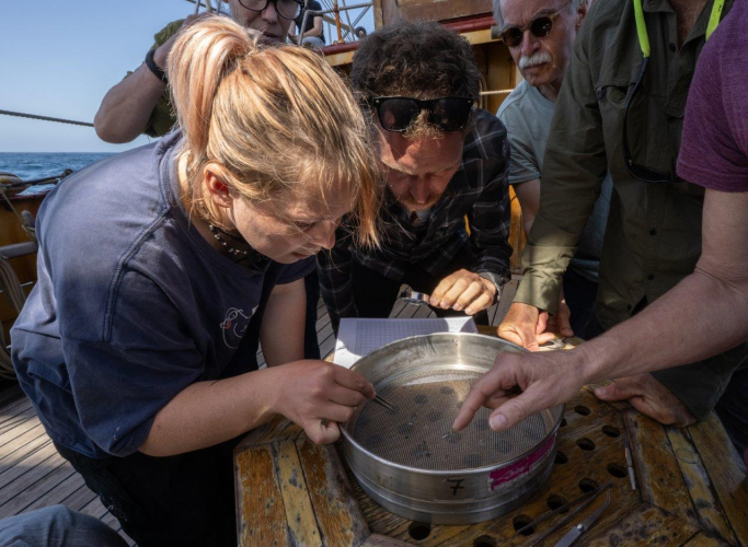 Southeasterlies by Jordi Plana Morales