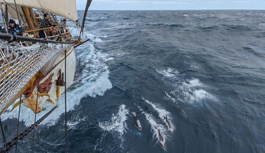 Sailing towards Tristan da Cunha by Jordi Plana Morales