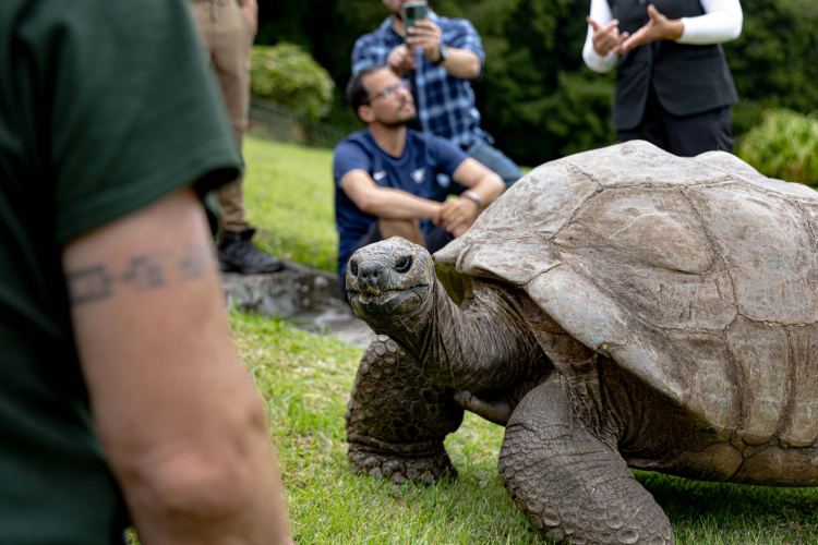 St Helena Marretje Adriaanse