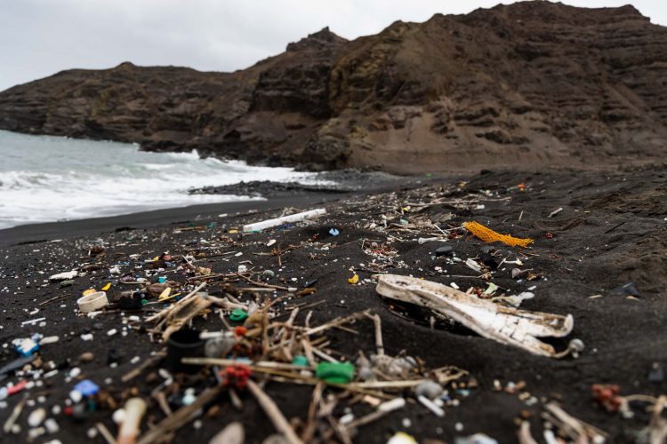St Helena Marretje Adriaanse