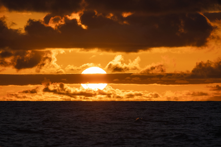 Stars & Sunsets Isley