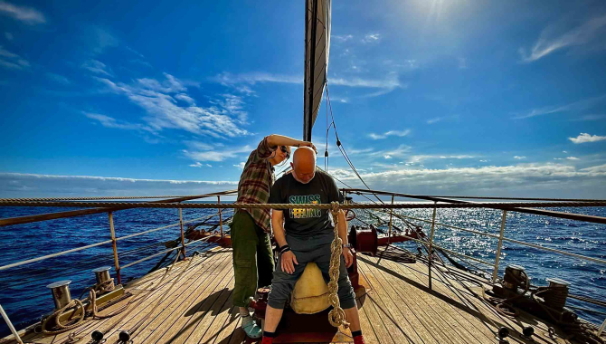 Microcosm Bark Europa by Yse Boucas