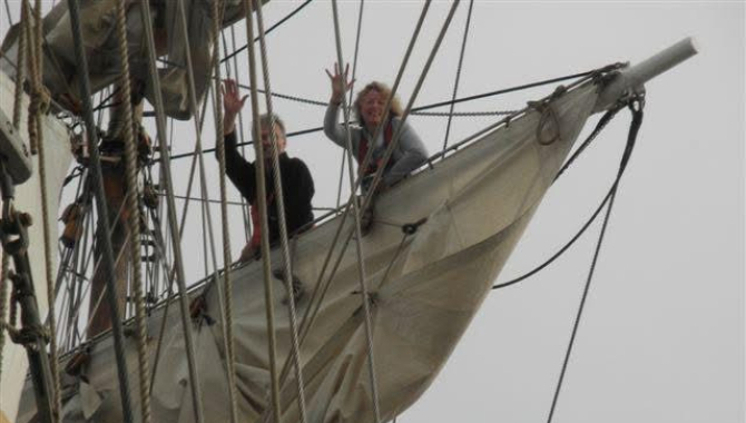 Sandy Gale Bark EUROPA