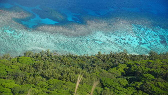 French Polynesia by Jan Stevens