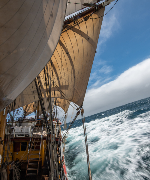 Covid voyage in 2020