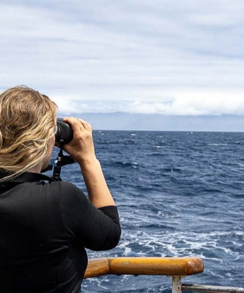 Open ocean