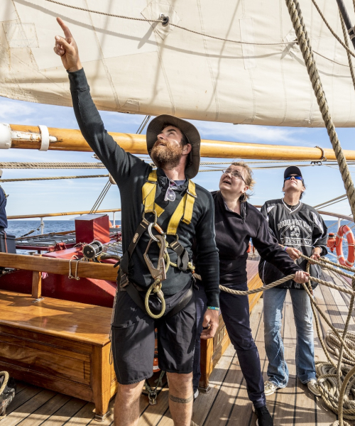 Sailtraining on board Bark EUROPA