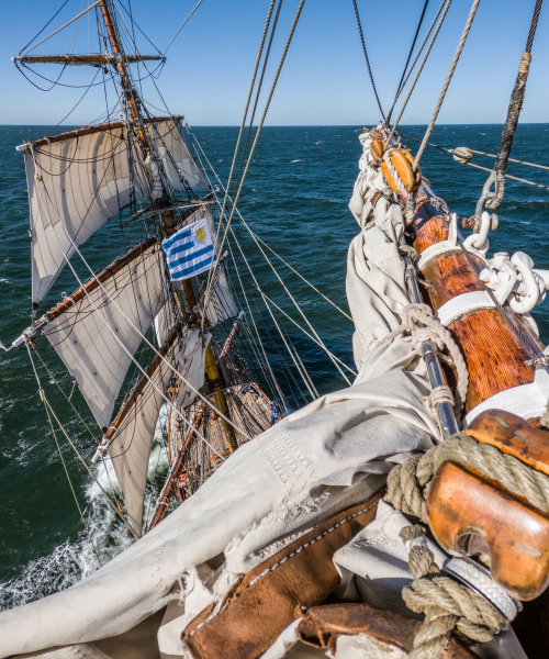 Sailing in the Southern Ocean