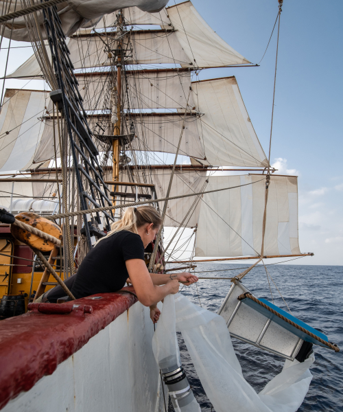 Research on board.jpg