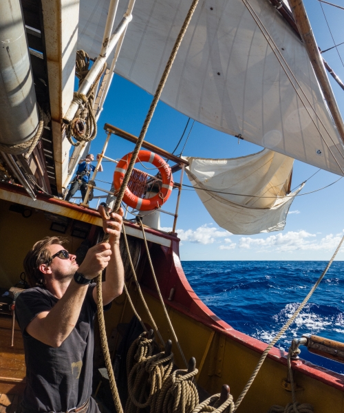 Pulling ropes