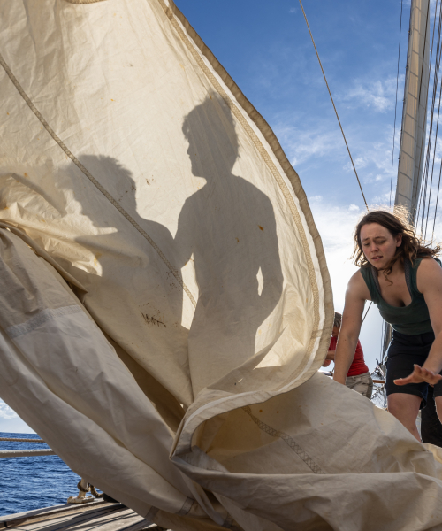 Shadow sail in the Pacific