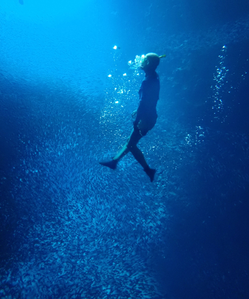 Swimming in the blue water