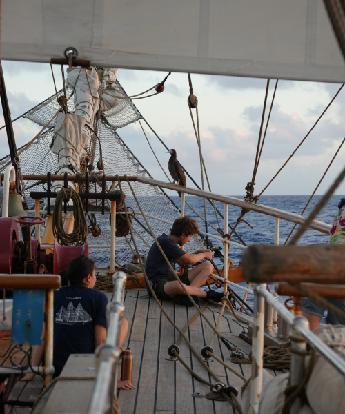 French Polynesia by Jan Stevens