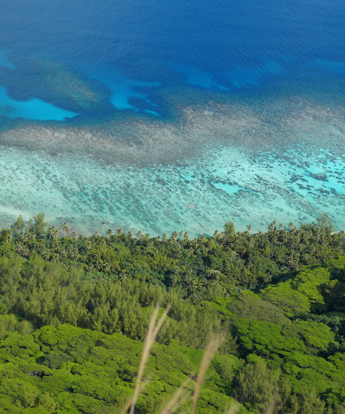 French Polynesia by Jan Stevens