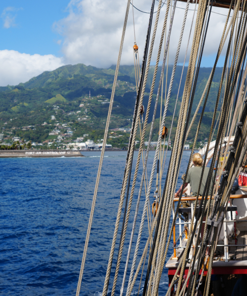 Tahiti by Jan Stevens