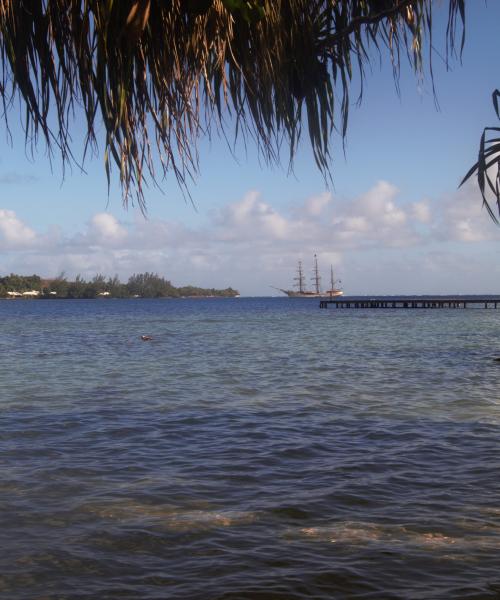 Bark EUROPA in Tonga