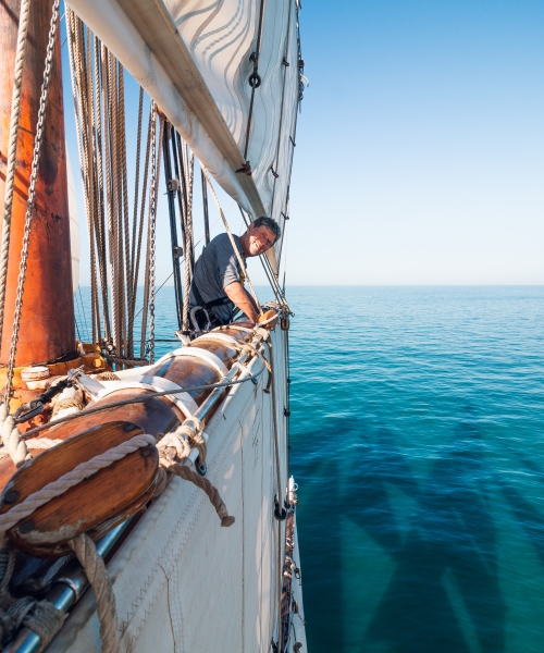 Rigging - Jack Cox.jpg