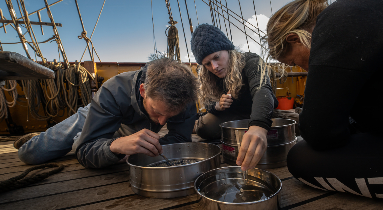 Research on board