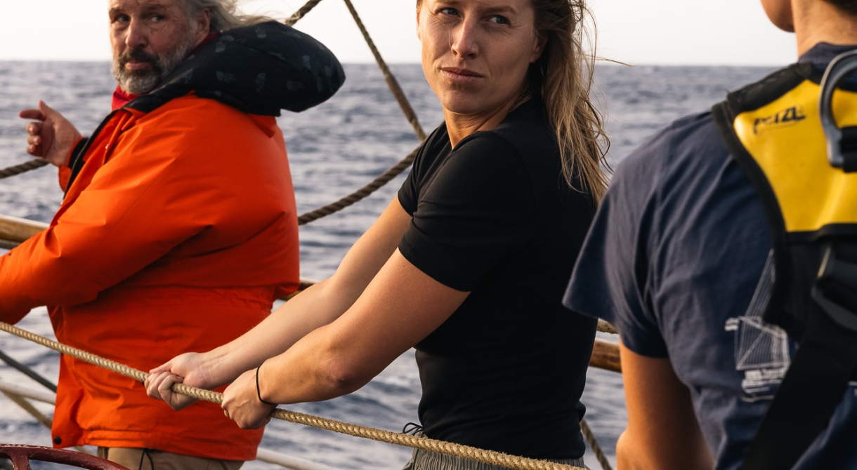 Fraser Edwards Bark EUROPA
