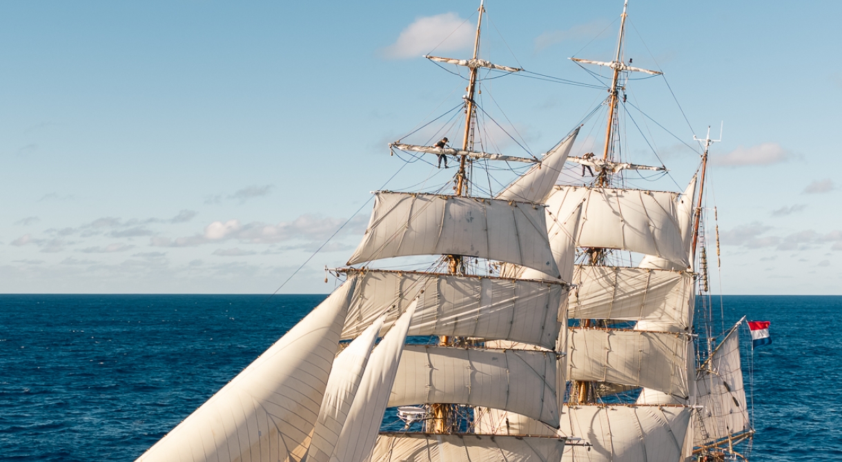 Bark EUROPA