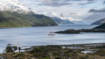 Bark EUROPA in Chile