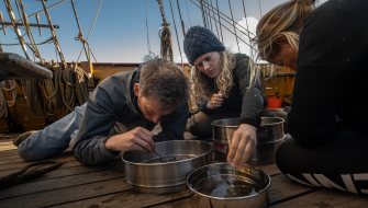 Research on board