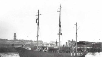 History of Bark EUROPA
