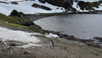 Barrientos Island