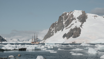 Danco Island Bark EUROPA